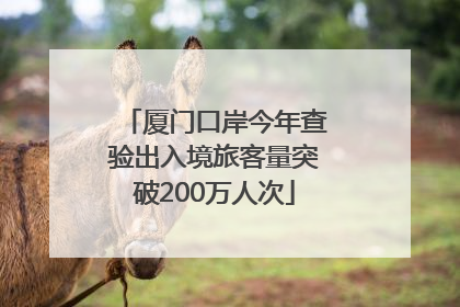厦门口岸今年查验出入境旅客量突破200万人次