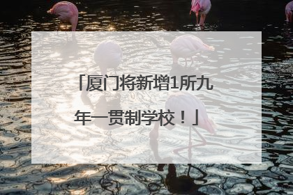 厦门将新增1所九年一贯制学校！