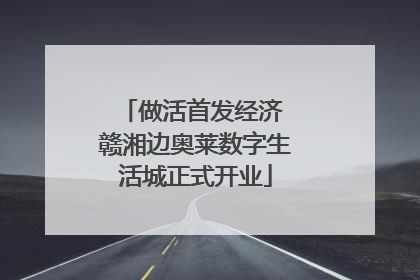 做活首发经济 赣湘边奥莱数字生活城正式开业