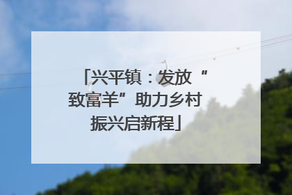 兴平镇：发放“致富羊”助力乡村振兴启新程