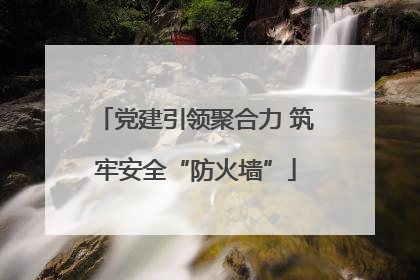 党建引领聚合力 筑牢安全“防火墙”