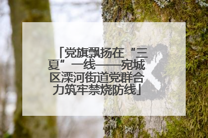 党旗飘扬在“三夏”一线——宛城区溧河街道党群合力筑牢禁烧防线