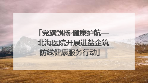 党旗飘扬·健康护航——北海医院开展进盐企筑防线健康服务行动