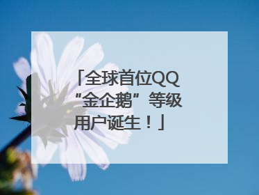 全球首位QQ“金企鹅”等级用户诞生！