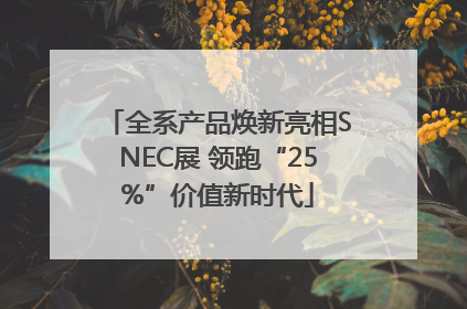 全系产品焕新亮相SNEC展 领跑“25%”价值新时代