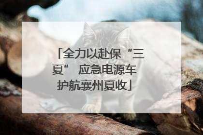 全力以赴保“三夏” 应急电源车护航襄州夏收