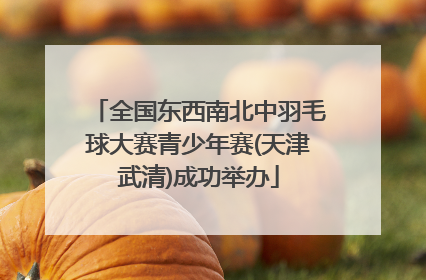全国东西南北中羽毛球大赛青少年赛(天津武清)成功举办