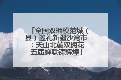 全国双拥模范城（县）巡礼新疆沙湾市：天山北麓双拥花 五届蝉联铸辉煌