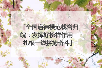全国道德模范载誉归皖：发挥好榜样作用 扎根一线拼搏奋斗