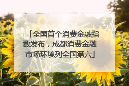 全国首个消费金融指数发布，成都消费金融市场环境列全国第六