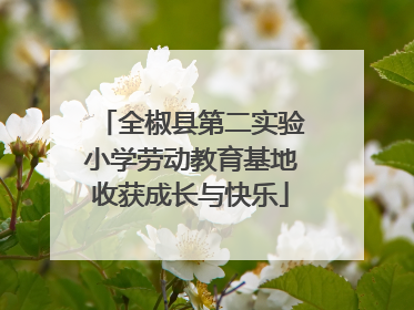 全椒县第二实验小学劳动教育基地收获成长与快乐