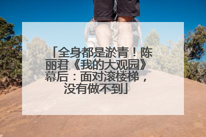 全身都是淤青！陈丽君《我的大观园》幕后：面对滚楼梯，没有做不到