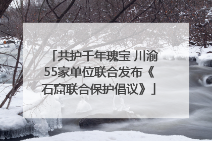 共护千年瑰宝 川渝55家单位联合发布《石窟联合保护倡议》