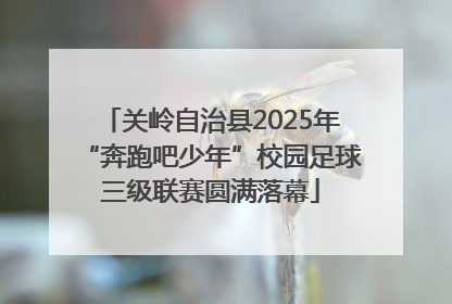 关岭自治县2025年“奔跑吧少年”校园足球三级联赛圆满落幕