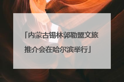内蒙古锡林郭勒盟文旅推介会在哈尔滨举行