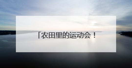 农田里的运动会！燃动乡村新活力