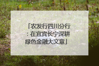农发行四川分行：在宜宾长宁深耕绿色金融大文章