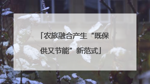 农旅融合产生“既保供又节能”新范式