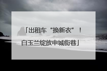 出租车“换新衣”！白玉兰绽放申城街巷