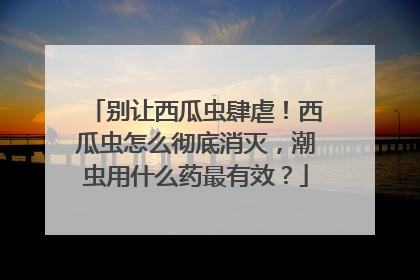 别让西瓜虫肆虐！西瓜虫怎么彻底消灭，潮虫用什么药最有效？