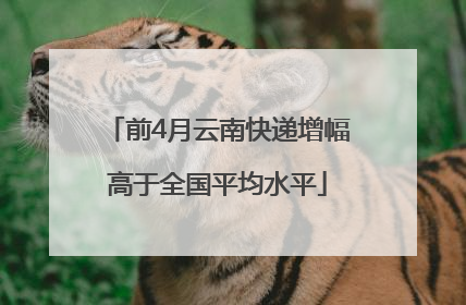 前4月云南快递增幅高于全国平均水平