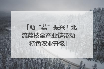 助“荔”振兴！北流荔枝全产业链带动特色农业升级