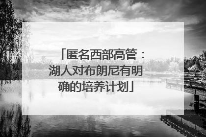 匿名西部高管：湖人对布朗尼有明确的培养计划