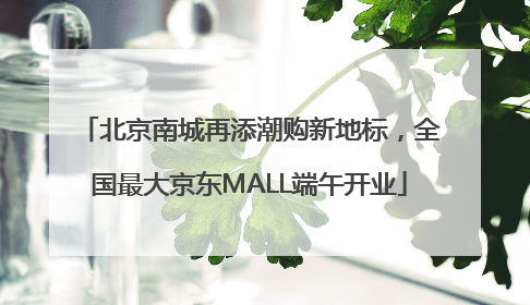 北京南城再添潮购新地标，全国最大京东MALL端午开业
