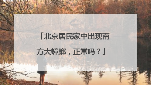 北京居民家中出现南方大蟑螂，正常吗？