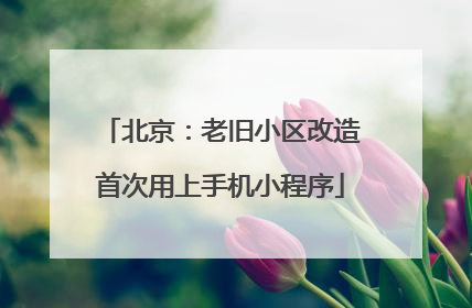 北京：老旧小区改造首次用上手机小程序