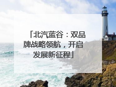 北汽蓝谷：双品牌战略领航，开启发展新征程