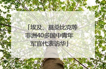 埃及、莫桑比克等非洲40多国中青年军官代表访华
