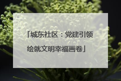城东社区：党建引领绘就文明幸福画卷