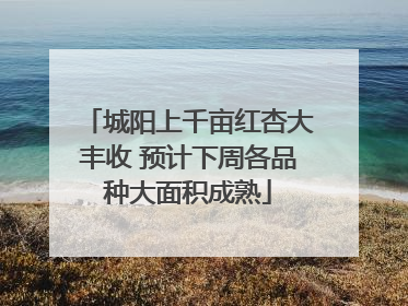 城阳上千亩红杏大丰收 预计下周各品种大面积成熟