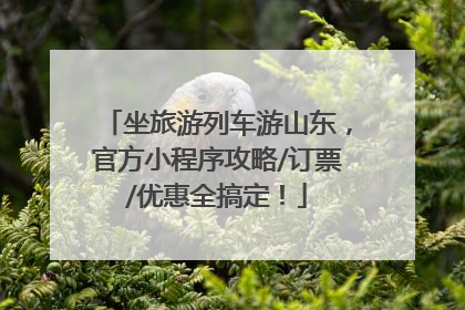 坐旅游列车游山东，官方小程序攻略/订票/优惠全搞定！