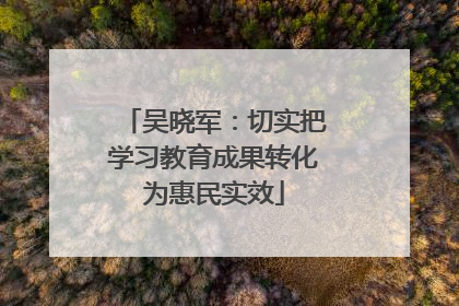 吴晓军：切实把学习教育成果转化为惠民实效
