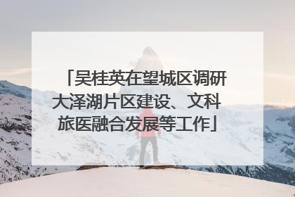 吴桂英在望城区调研大泽湖片区建设、文科旅医融合发展等工作
