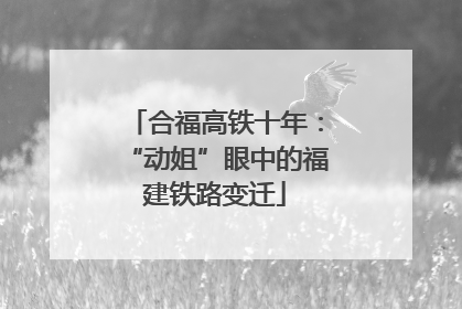 合福高铁十年：“动姐”眼中的福建铁路变迁