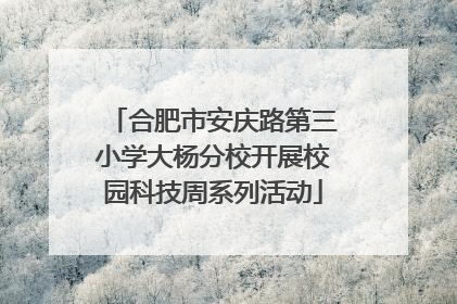 合肥市安庆路第三小学大杨分校开展校园科技周系列活动