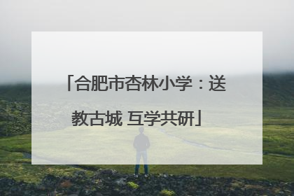 合肥市杏林小学：送教古城 互学共研