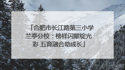 合肥市长江路第三小学兰亭分校：榜样闪耀绽光彩 五育融合助成长