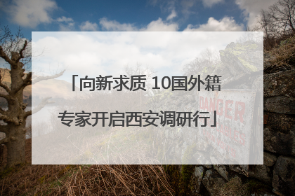向新求质 10国外籍专家开启西安调研行