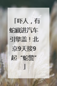 吓人，有蛇藏进汽车引擎盖！北京9天接9起“蛇警”