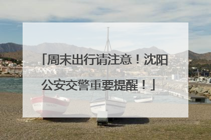 周末出行请注意！沈阳公安交警重要提醒！