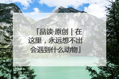 品读·原创｜在这里，永远想不出会遇到什么动物
