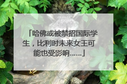 哈佛或被禁招国际学生，比利时未来女王可能也受影响……