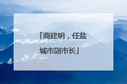 商建明，任盐城市副市长