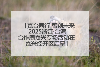 嘉台同行 智创未来 2025浙江·台湾合作周嘉兴专场活动在嘉兴经开区启幕