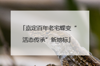 嘉定百年老宅蝶变“活态传承”新地标