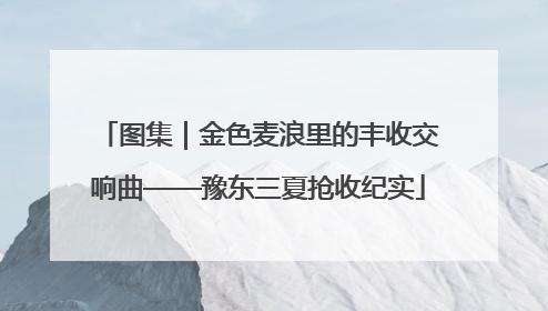 图集｜金色麦浪里的丰收交响曲——豫东三夏抢收纪实